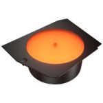 Accesorio Cougar Luminosa Fv270 Black